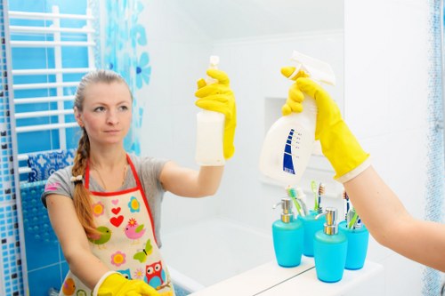 Professional mattress cleaning in a South Norwood home
