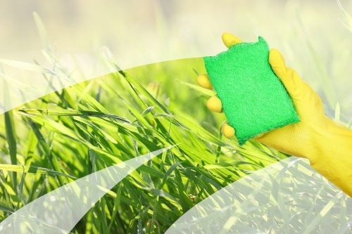 Accessible South Norwood Carpet Cleaners website illustration