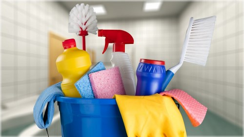 Transparent carpet cleaning rates for South Norwood homes and businesses