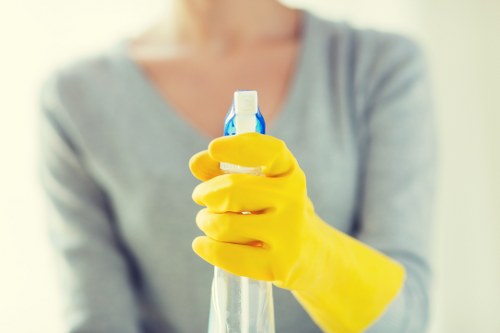 South Norwood carpet cleaners providing professional cleaning service
