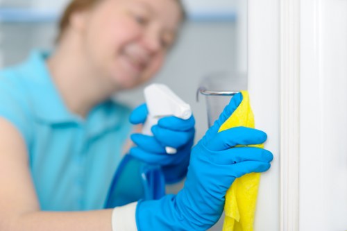 Aftercare and maintenance for rug cleaning in South Norwood