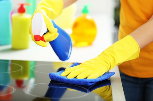 Deep cleaning equipment used for removing pet odours from upholstery