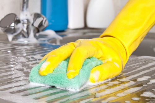 Professional carpet and upholstery cleaning in a South Norwood property