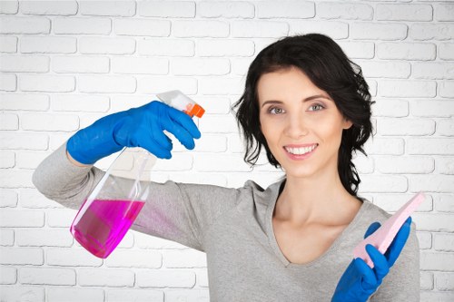 Local carpet cleaning team assessing fabric care needs in South Norwood