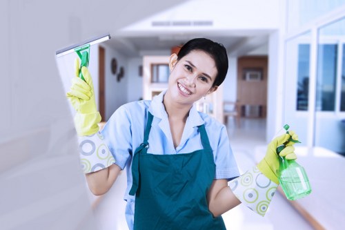 Deep cleaning treatment for a stained mattress